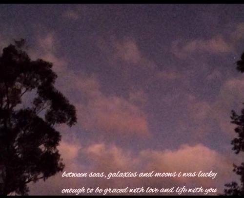 Oh How Lucky We Are To Love And To Have Love Be Returned... In Whatever Form It May Take.