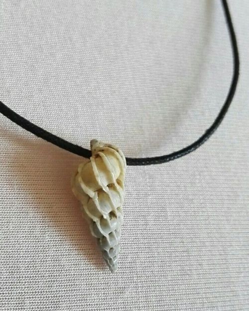 Made myself a shell necklace… I love it! #shell #sea #seashells #beach #summer #diy #necklace