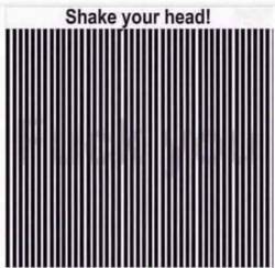 woahdudenode:  If you shake your head you