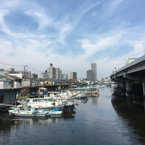 Another side of the canal.. many boats are floating and ducks are resting in the shade #lovejapan #l