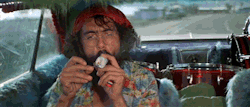 the-marijuanalogues:  Stoners of the Movie Screen (1978-2008)