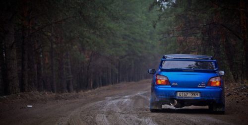 Porn photo rugessubaru:  if a Subie spools in the forest…