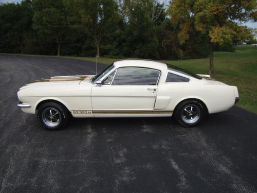 mustanglegendarymachine:      Wimbledon White   Shelby GT350 1966 with optional “Le Mans” stripes in gold.  