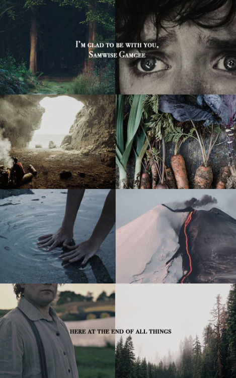 buckyyes:Relationship Aesthetic:Frodo Baggins + Samwise Gamgee