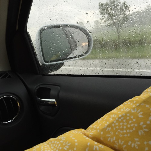 fehminin:  rainy road trips