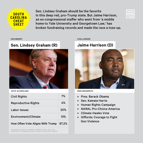 imalovellmachine: nowthisnews: These 2020 races will decide who controls the Senate. Can former Demo
