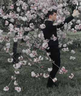 qanhowell:Dan and Phil + Japan