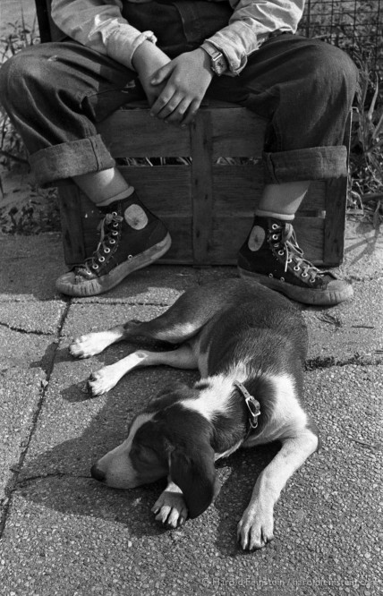 killerbeesting:   Harold Feinstein, A Boy and His Dog, 1950