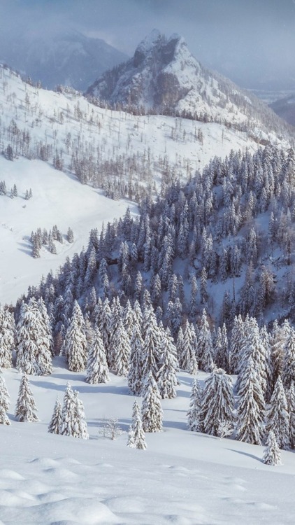 winter wonderlandplease reblog/like if you save/use(: