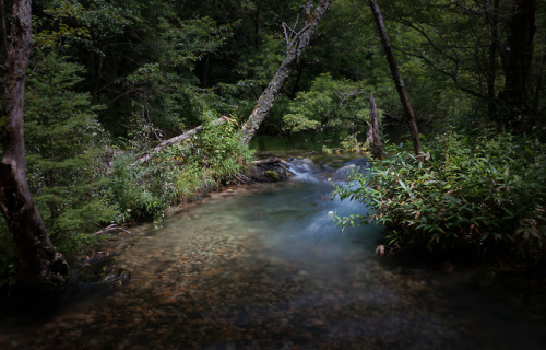 90377: Kamikochi - Morning by Kashinkoji