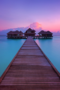 sundxwn:  Overwater by Paul Reiffer 