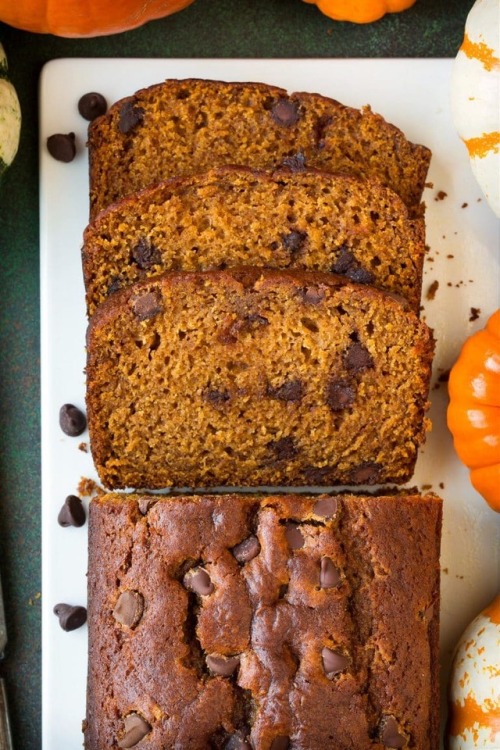 sweetoothgirl:    Pumpkin Chocolate Chip Bread  