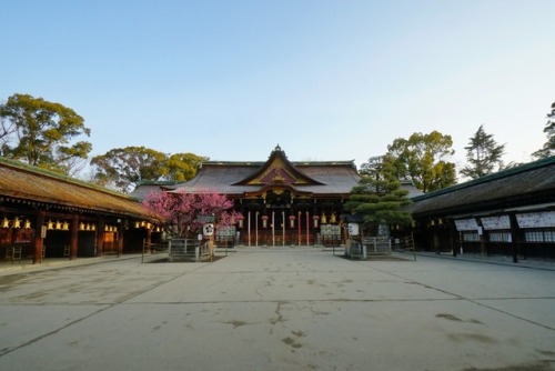 chitaka45:京都 北野天満宮 梅 kyoto kitanotenmangu shrine