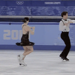 ephemeralss:  Ice Dance Challenge #13 Favourite SD: Tessa Virtue and Scott Moir 2013-14 season