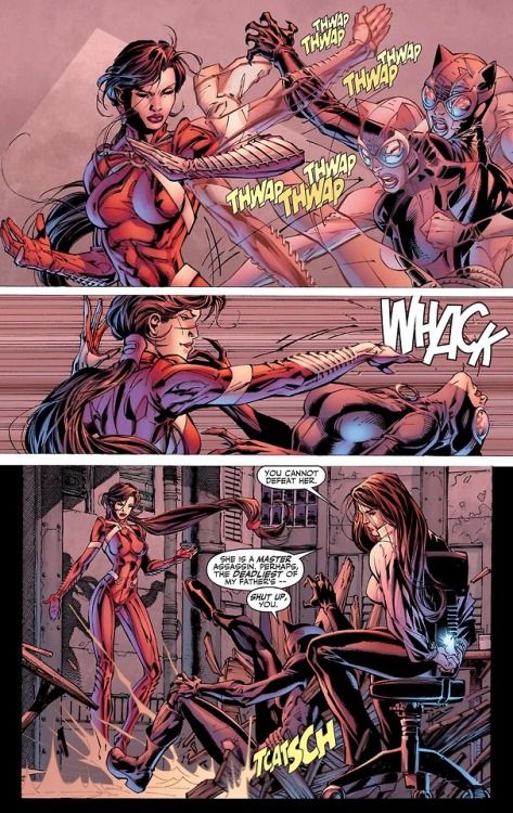 Batman Lady Shiva Porn - Catwoman vs. Lady Shiva. [from Batman (1940) #616] - Tumbex