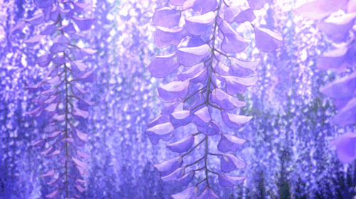 Cute purple anime girl lying in flowers by Emmi2023 on DeviantArt