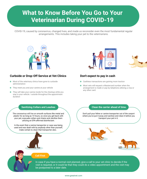 great-vet-llc