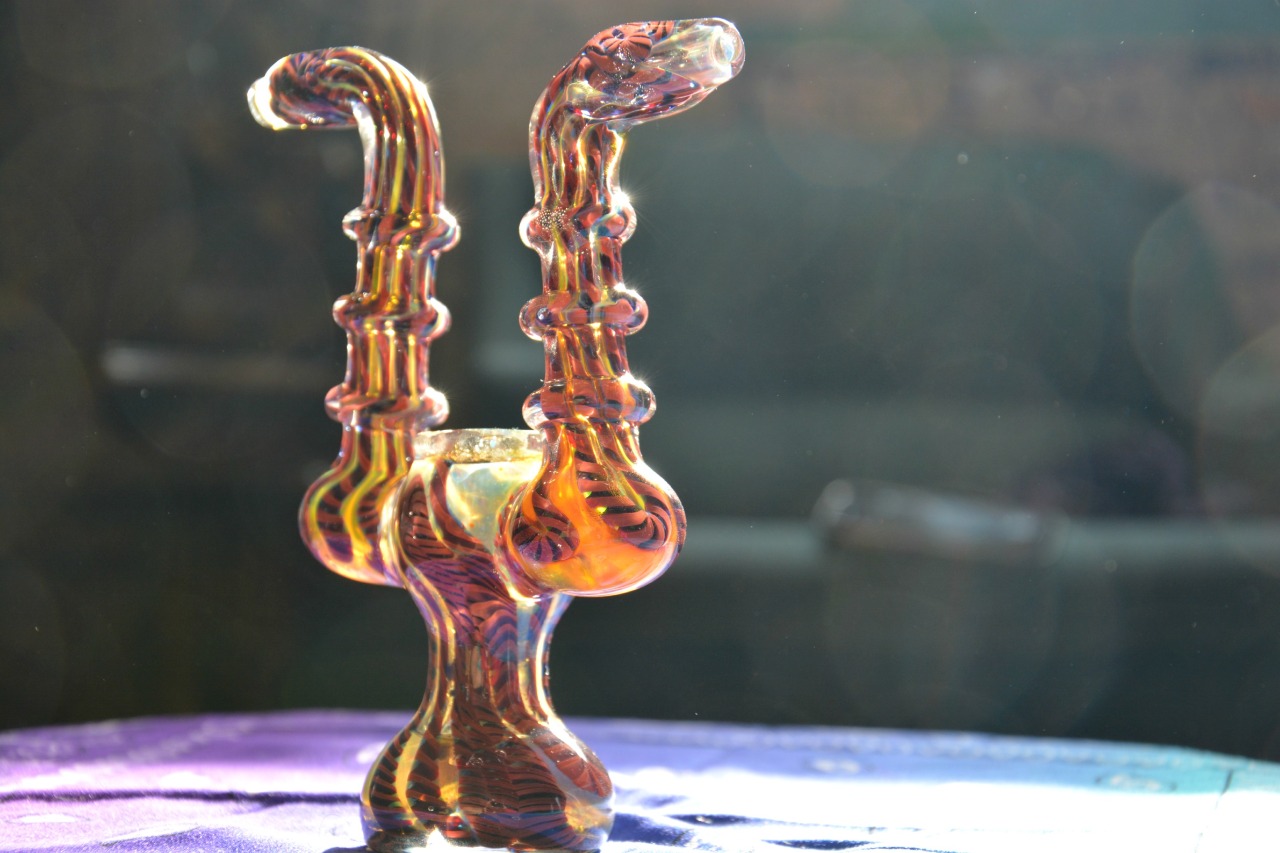 stonedscientist:  nickmcnugs:  420andback:  Ceph. Short for polycephaly, condition