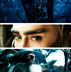 thorinds:  The Hobbit: The Desolation of Smaug 