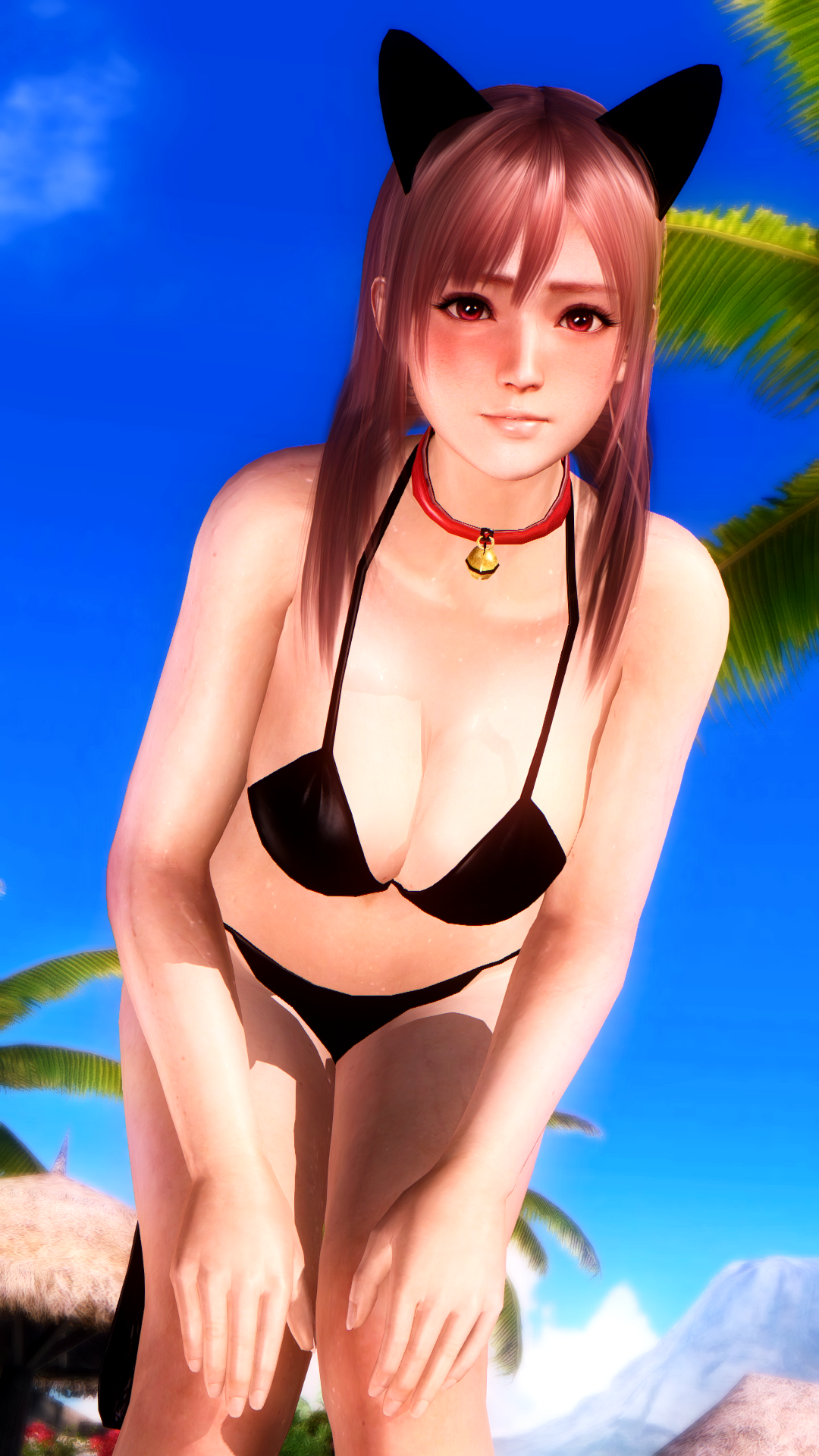 doapower:Honoka Neko Bikini