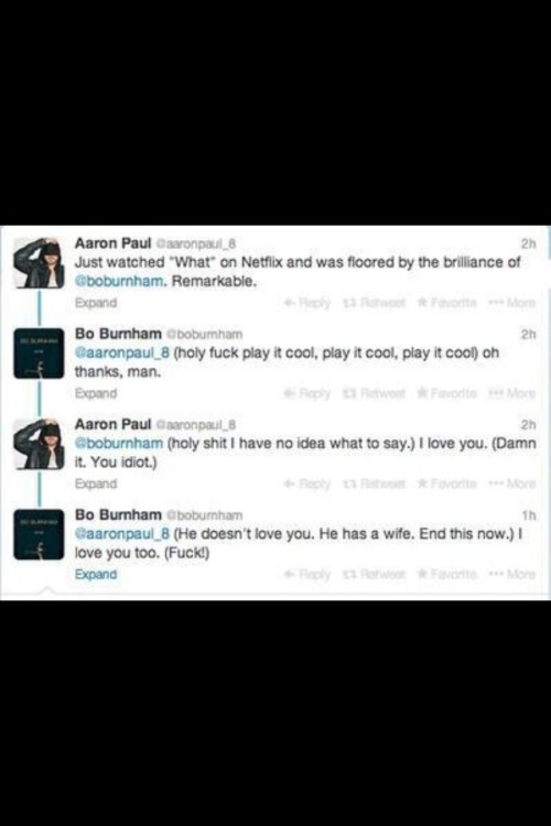 funniestpicturesdaily:  Aaron Paul and Bo Burnham interaction on Twitter  I love both of them and What is brilliant.