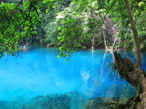 Blue Lagoon, Vanuatu by Jan Kokes