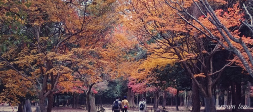 December Japan Adventures in four photos. I miss winter dressing.