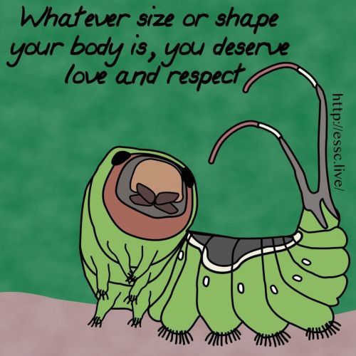 energysavingselfcare: This wise caterpillar says that whatever the size or shape of your body, you a