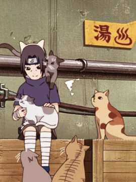 songofthemoon:  Itachi and his cats-friends