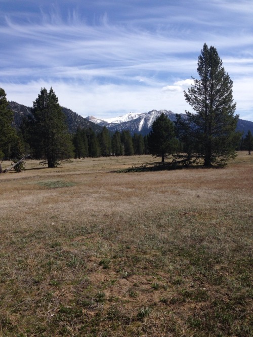 My Recent Trip To Tahoe =3