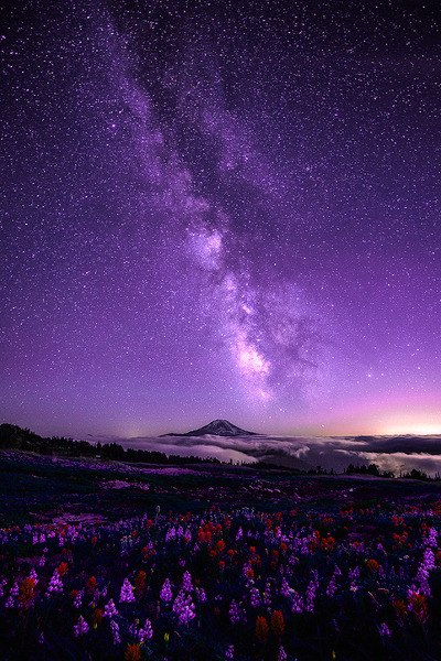 earthdaily:  Celestial Existence by Scott Smorra 