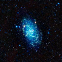 sci-universe:  This image captured by NASA’s Wide-field Infrared Survey Explorer (WISE), shows of one of our closest neighboring galaxies, Messier 33. It’s also called the Triangulum galaxy after the constellation it’s found in. The bright yellow-orange