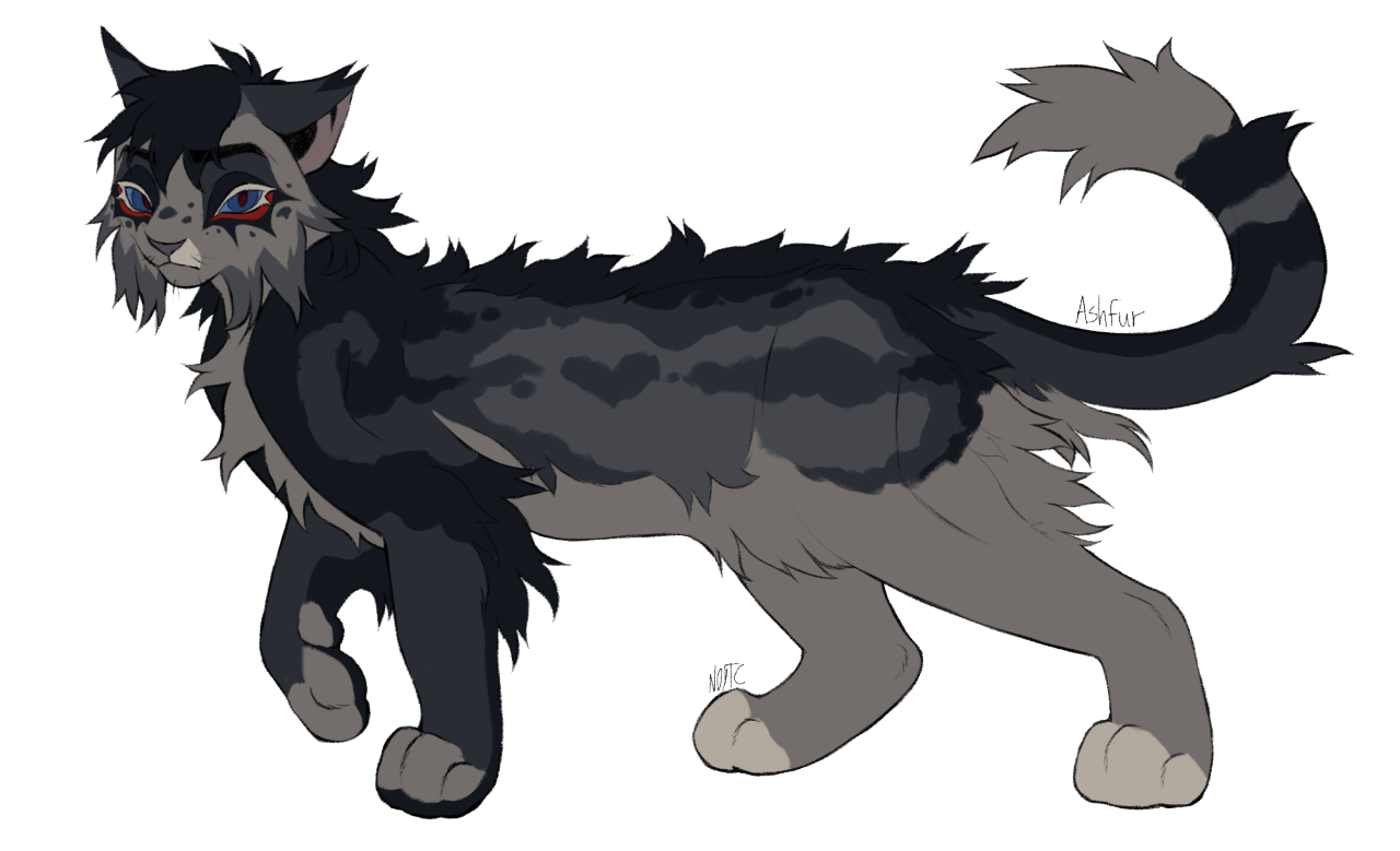 Ashfur 