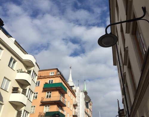 Stockholm, dogs & cat