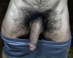 freeballingron:  Hairy and hung!