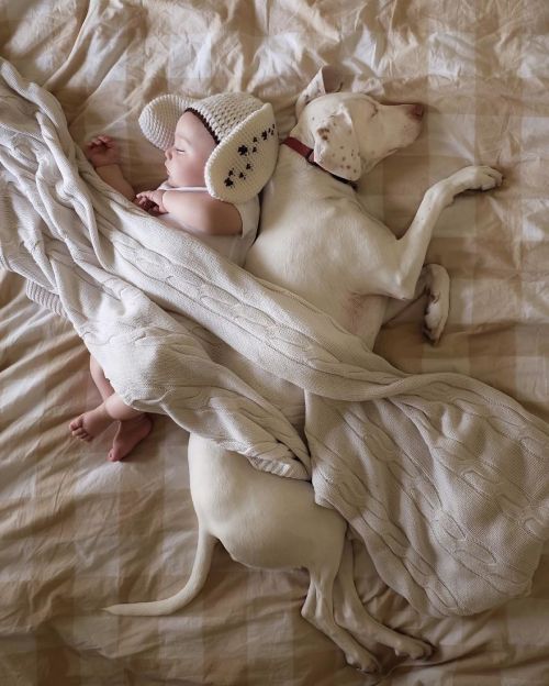 WARNING: CUTENESS OVERLOAD!Nora the rescue puppy loves napping with her baby brother ❤️