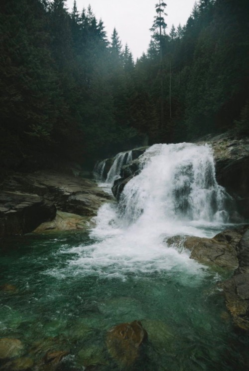 29b - Shayd Johnson, golden ears provincial park. British Columbia