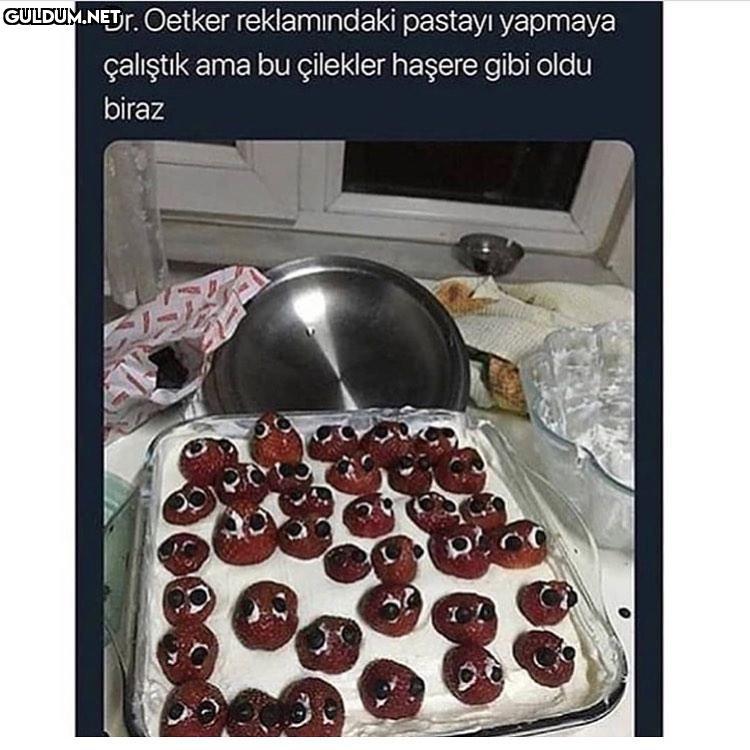 Küçük hamamböcekleri Dr....