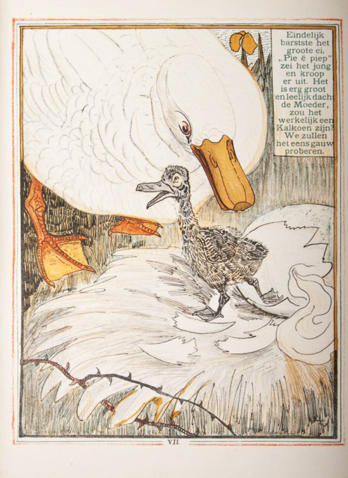 Theodorus van Hoytema, illustrations for The Ugly duckling, Het Leelijke Jonge Eendje, after the fai