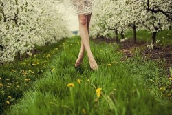 sub-91:  peskynymph:  Bare feet Springtime