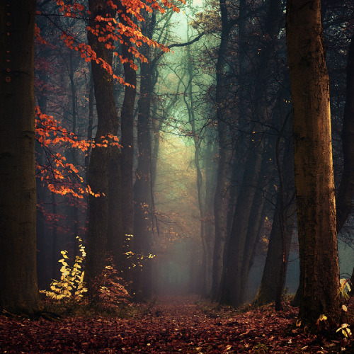 This is what makes Autumn, beautiful… <3