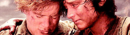 sithsandgiggles:  lord of the rings + color rainbow 