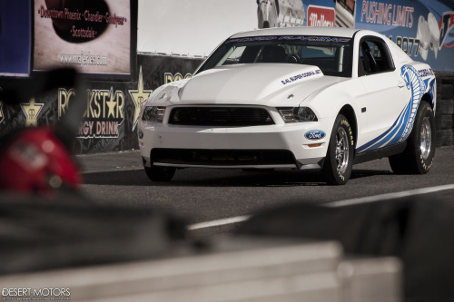 desertmotors:  2012 Ford Mustang Super Cobra Jet#40/50 produced Painted in Performance White Super Stock Ford Racing/Whipple 4.0L Supercharger Option C2 Automatic Transmission Low 9 Second to High 8 Second ¼ Mile Times