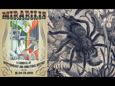 cryptid-quest