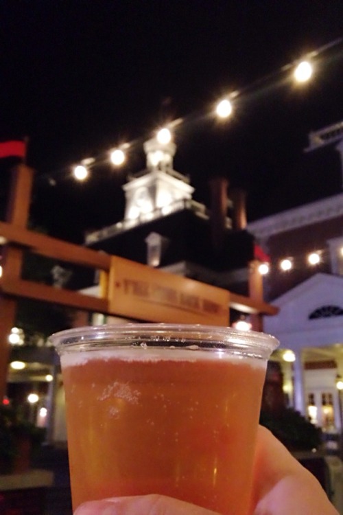 themouseketeer:  Went drinking around the world for the first time yesterday! So much fun! 