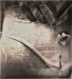Eperszajsrozsa:kompozició  Gésagolyóval ©Aolung Szerk. Fényképe, Vint.