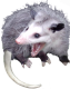 28c631c727d01fa0ba37c462468d6f44980e355a.png