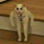 gingerdissapointment
