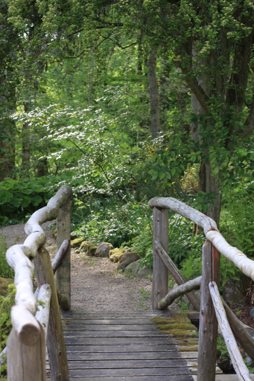 lilyandthefield:some photos that I took on one of my “faerie” walks on warmer days.