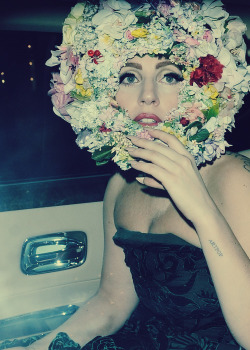 Only Lady Gaga.